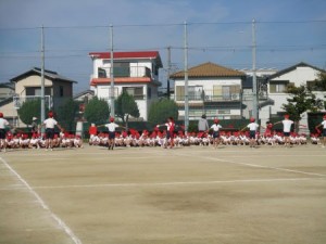IMG_7861